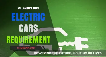 Will America Mandate Electric Cars? Exploring the Future of Auto Policy
