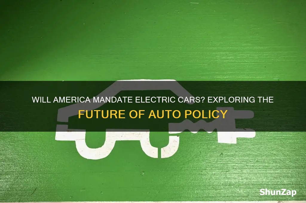 will america make electric cars requirement