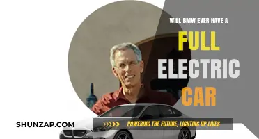 BMW's Electric Future: Will a Full EV Model Dominate the Roads?