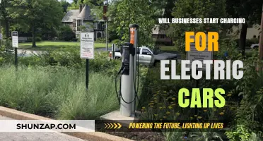 Will Businesses Charge for Electric Car Charging? Exploring Future Trends