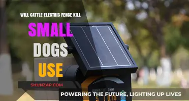 Cattle Electric Fences: Are Small Dogs at Risk of Fatality?