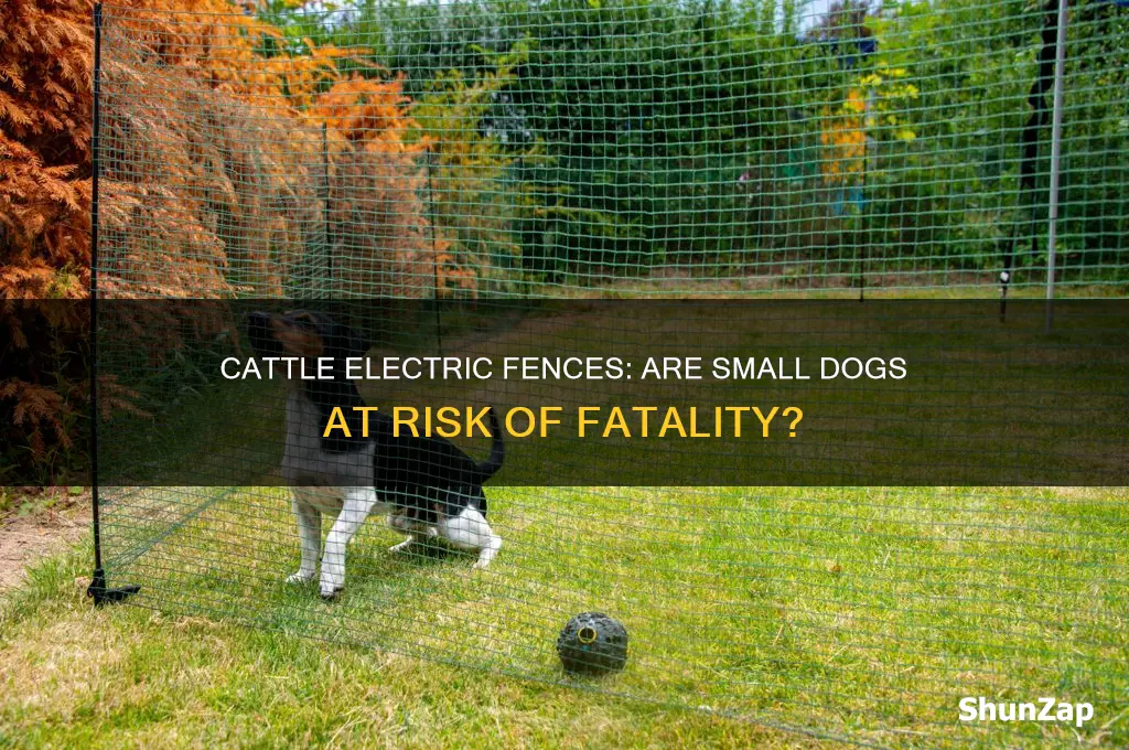 will cattle electric fence kill small dogs use