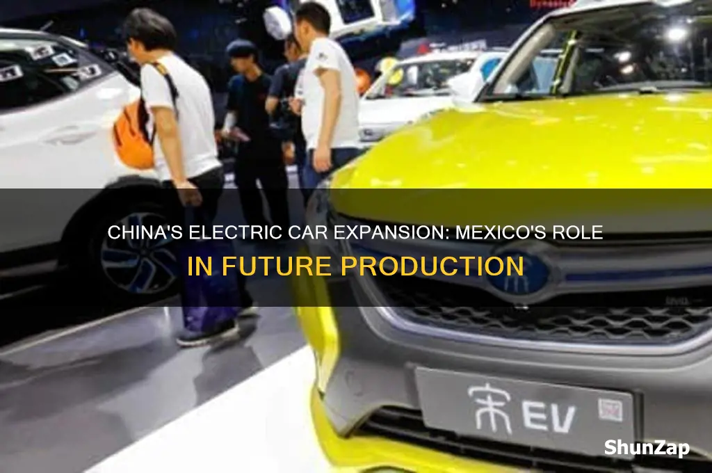 will china only build electric cars in mexico