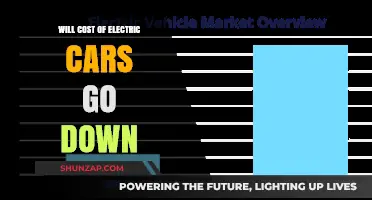 Will Electric Car Prices Drop? Future Cost Trends Explained