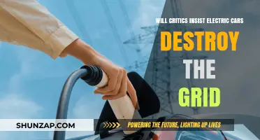 Will Critics' Grid Concerns Halt Electric Car Revolution?