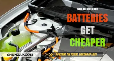 Electric Car Battery Costs: Will They Decline in the Future?