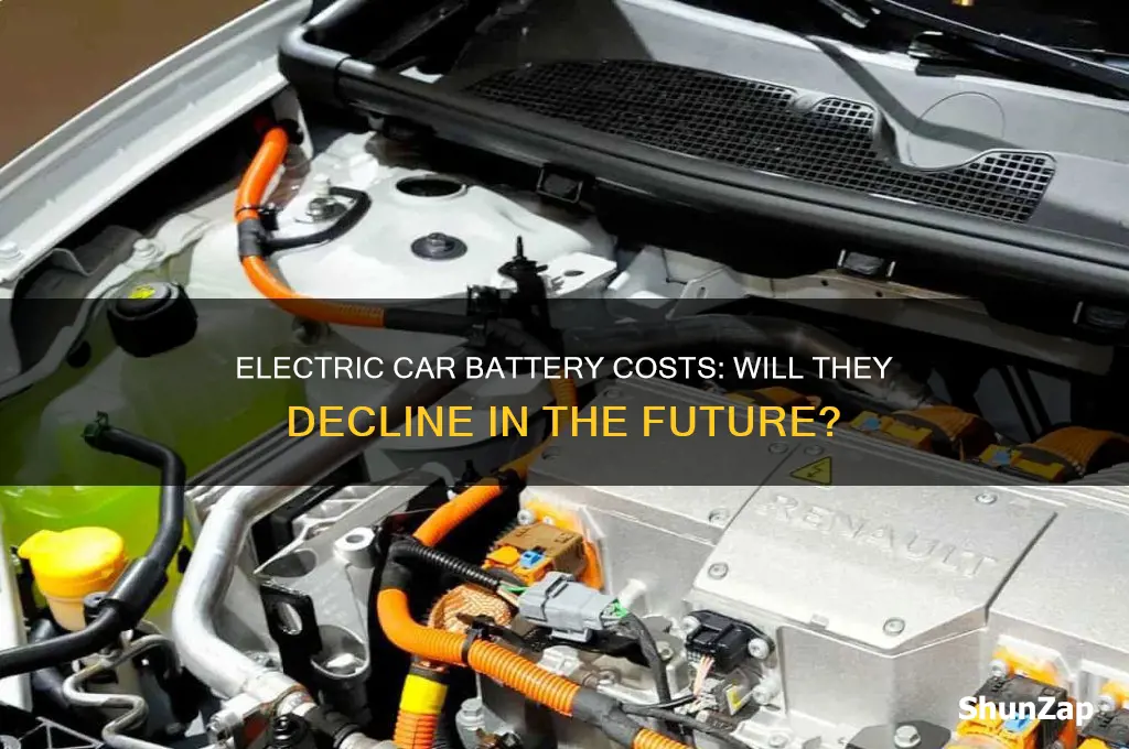 will electric car batteries get cheaper