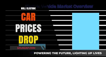 Will Electric Car Prices Drop Soon? Market Trends and Predictions