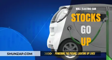 Electric Car Stocks: Future Growth Potential and Investment Outlook