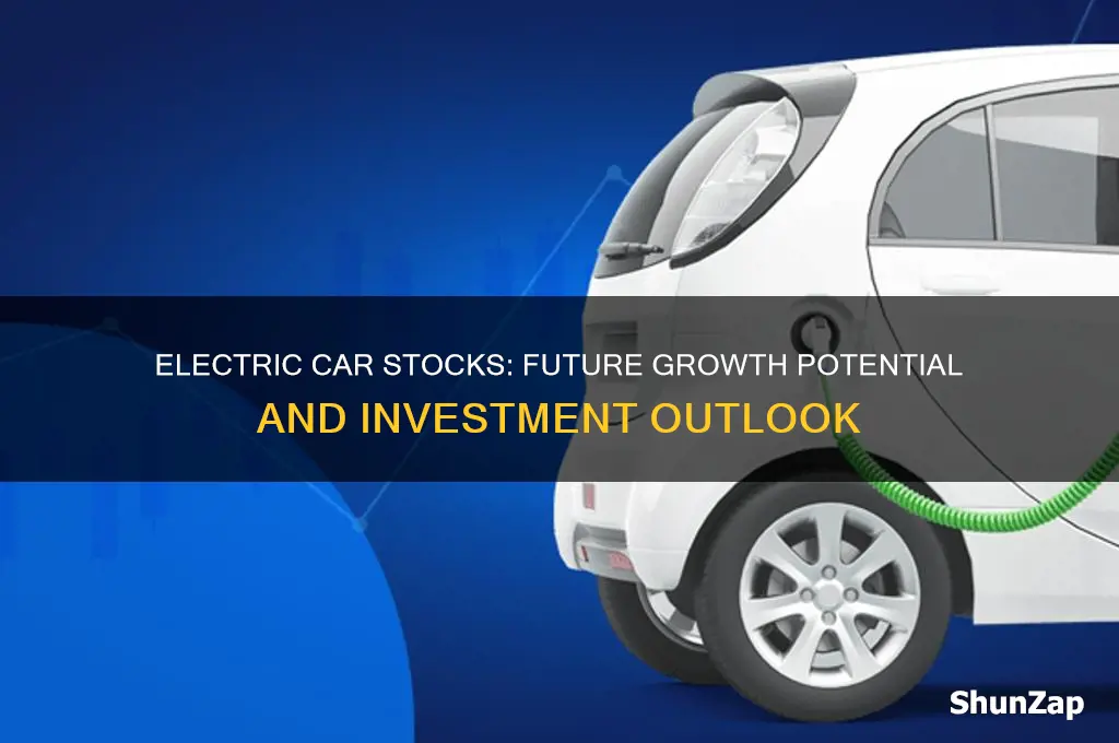 will electric car stocks go up