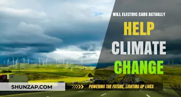 Electric Cars and Climate Change: Real Solution or Green Illusion?