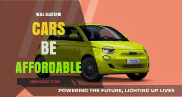 Electric Cars: The Future of Affordable Transportation?