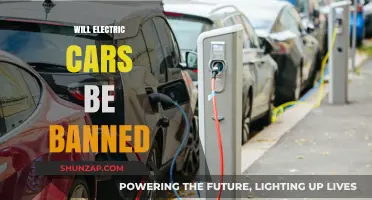 Will Electric Cars Face Bans? Exploring Future Regulations and Restrictions