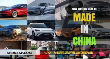 China's Electric Car Manufacturing: Future Dominance or Global Collaboration?