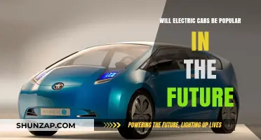 Electric Cars: The Future of Transportation or a Passing Trend?