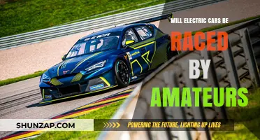 Can Amateurs Race Electric Cars? Exploring the Future of EV Motorsports