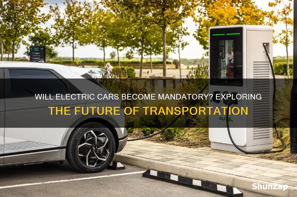 will electric cars be required