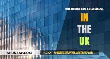 Electric Cars in the UK: Future Success or Passing Trend?