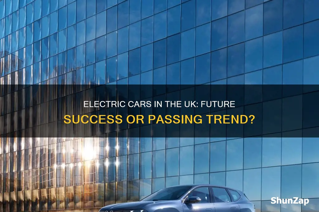 will electric cars be successful in the uk