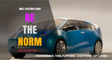 Electric Cars: The Future Norm or a Passing Trend?