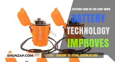 Future Electric Cars: Lighter with Advanced Batteries, But at What Cost?