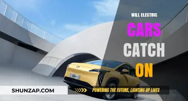 Will Electric Cars Revolutionize the Future of Transportation?