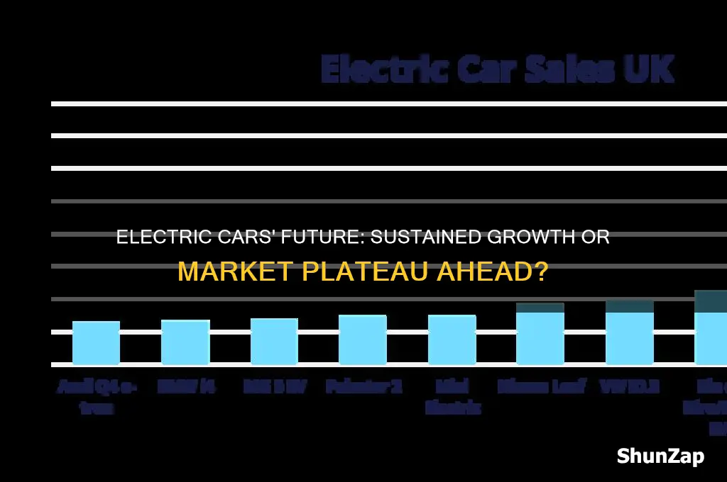 will electric cars continue growing