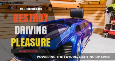 Electric Cars: The End of Driving Pleasure or a New Thrill?