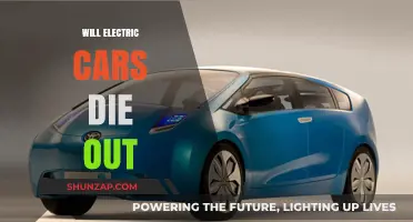Will Electric Cars Survive or Fade Away in the Future?