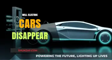 Will Electric Cars Disappear? Exploring the Future of EV Sustainability