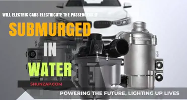 Electric Cars and Water: Debunking the Electrocution Myth
