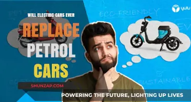 Electric vs. Petrol: The Future of Cars and What’s Next