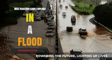 Electric Cars and Floods: Debunking the Explosion Myth