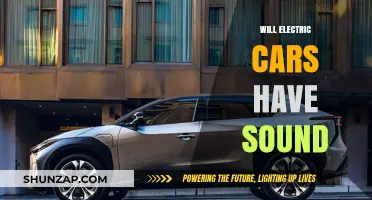 Electric Cars and Sound: The Future of Noisy or Silent Roads?