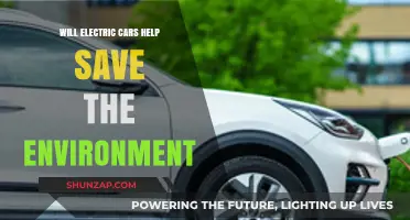 Electric Cars: A Green Revolution or Environmental Myth?