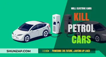 Electric Cars vs. Petrol: The Future of Automotive Dominance