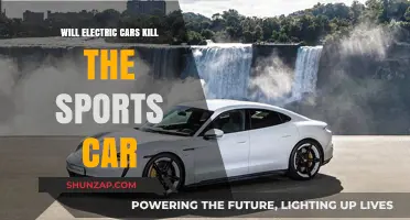 Electric Revolution: The Future of Sports Cars in Question
