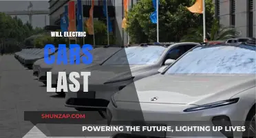 Will Electric Cars Last? Durability, Longevity, and Future Prospects