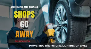 Electric Cars: The Future of Auto Repair Shops?