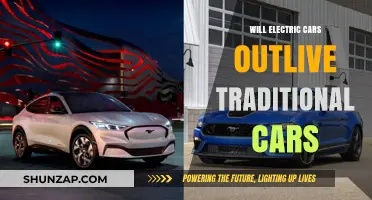 Electric Cars vs. Traditional: Which Will Dominate the Future Roads?