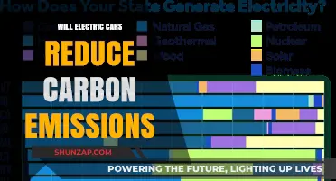 Electric Cars: A Key Solution to Lowering Carbon Emissions?