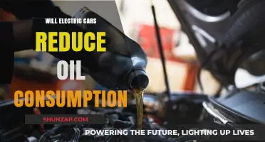 Electric Cars: A Game-Changer for Global Oil Consumption Reduction?