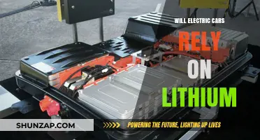 Electric Cars and Lithium: Future Dependence or Diversification Ahead?