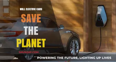 Electric Cars: A Sustainable Solution or Just a Green Illusion?