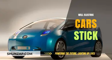 Will Electric Cars Stick? Exploring Their Long-Term Viability and Impact