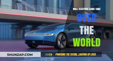 Electric Cars: The Future of Global Transportation?
