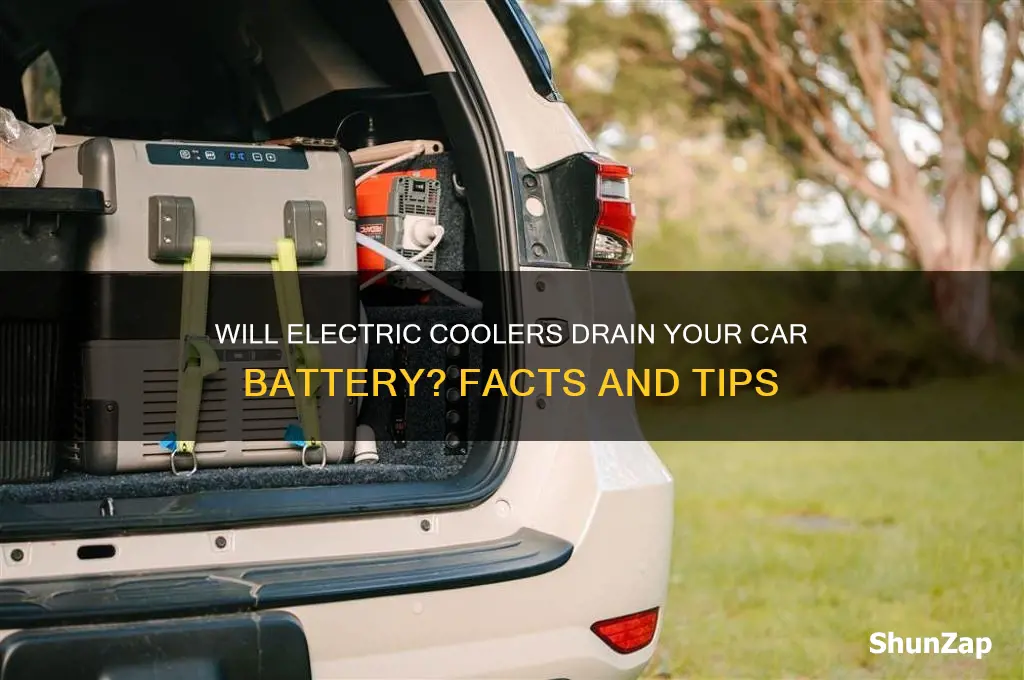 will electric cooler drain car battery