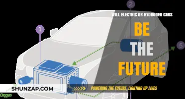 Electric vs. Hydrogen: Which Technology Will Dominate Future Transportation?