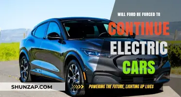 Will Ford's Future Depend on Electric Vehicles Amid Market Pressure?