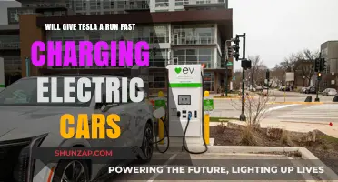 Fast Charging Rivals: Can Competitors Outpace Tesla's Electric Dominance?